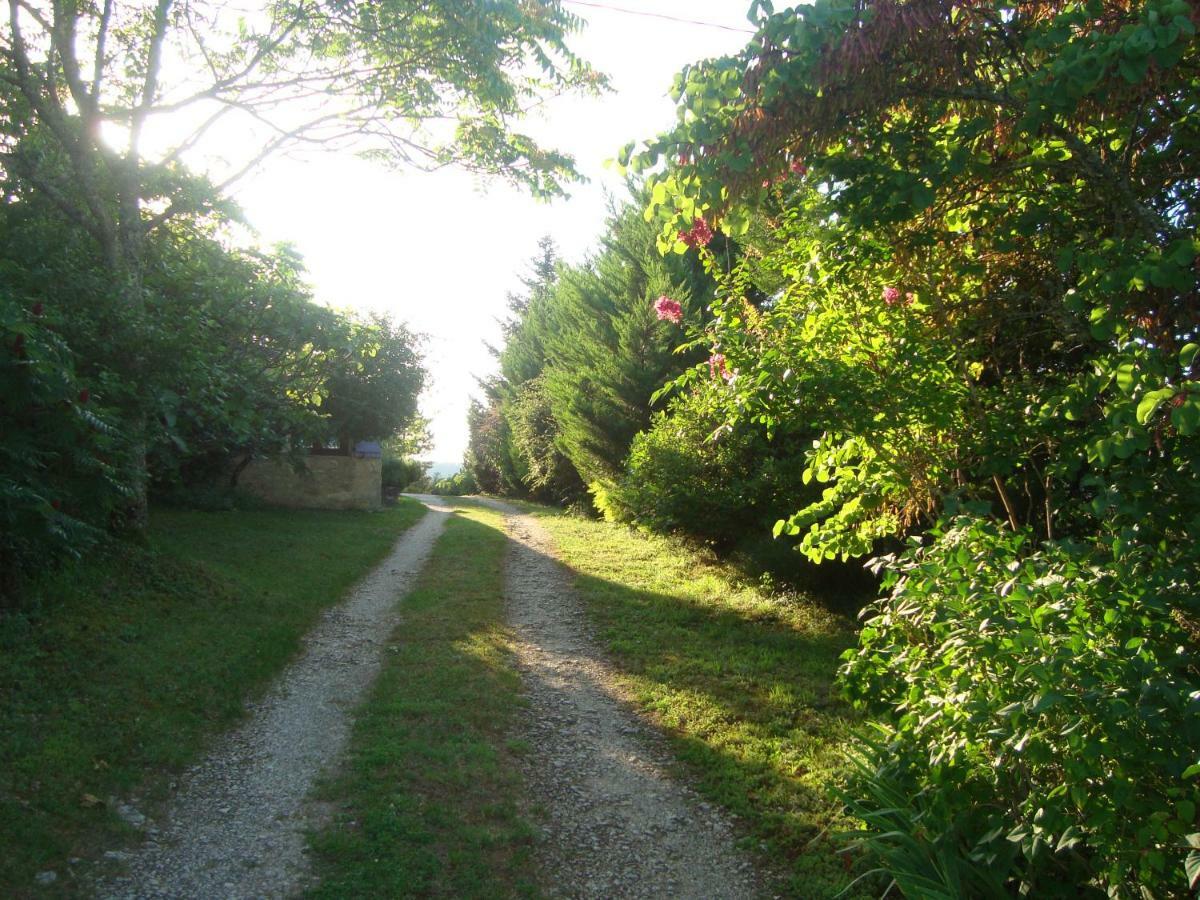 Le Mas Des Cypres Constans Exterior photo